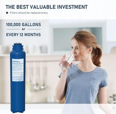 AP917HD-S AP904 Water Filter Replacement, Whole House Sanitary Quick Change W…