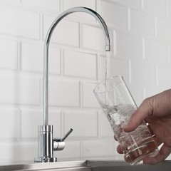 Purita Rust-Resistant Filter Faucet in Chrome