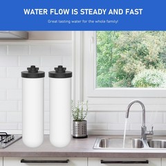 2 Pack 7» Ceramic Water Filter Candle W9121226 Compatible with British Berkefel