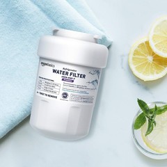 Chlorine Reduction Water Filter Cartridge NSF Certified 2 Pack for Refrigerators