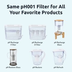 Invigorated Water PH001 White Alkaline Water Filter – Filters for all Pitche…