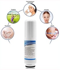 Internal Active Carbon Water Filter for pH3.5~10.5 Alkaline Water Ionizer AG7…