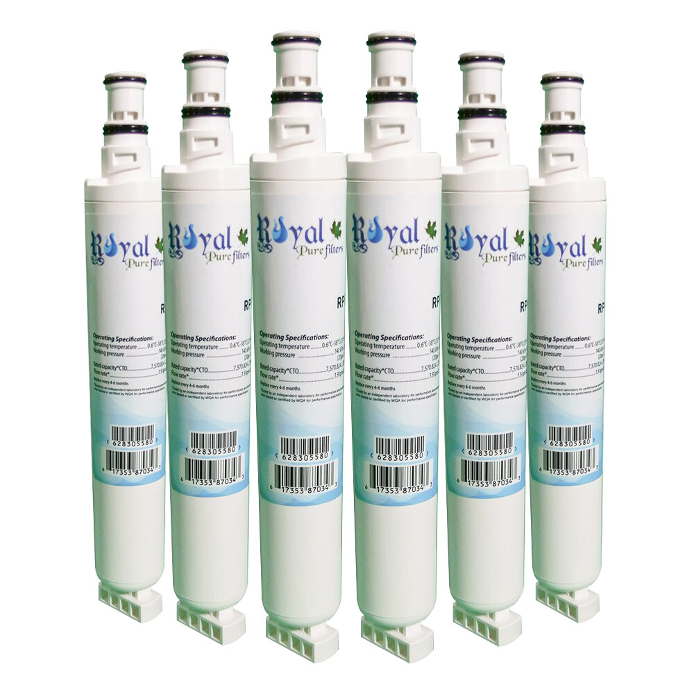 Fits EDR6D1,EcoAqua EFF-6001A Replacement Refrigerator Water Filter By RPF 6Pack