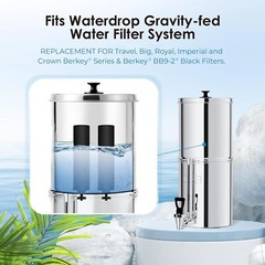 2Pack Black Water Filters Replacement Purification Elements Fit for Berkey BB9-2
