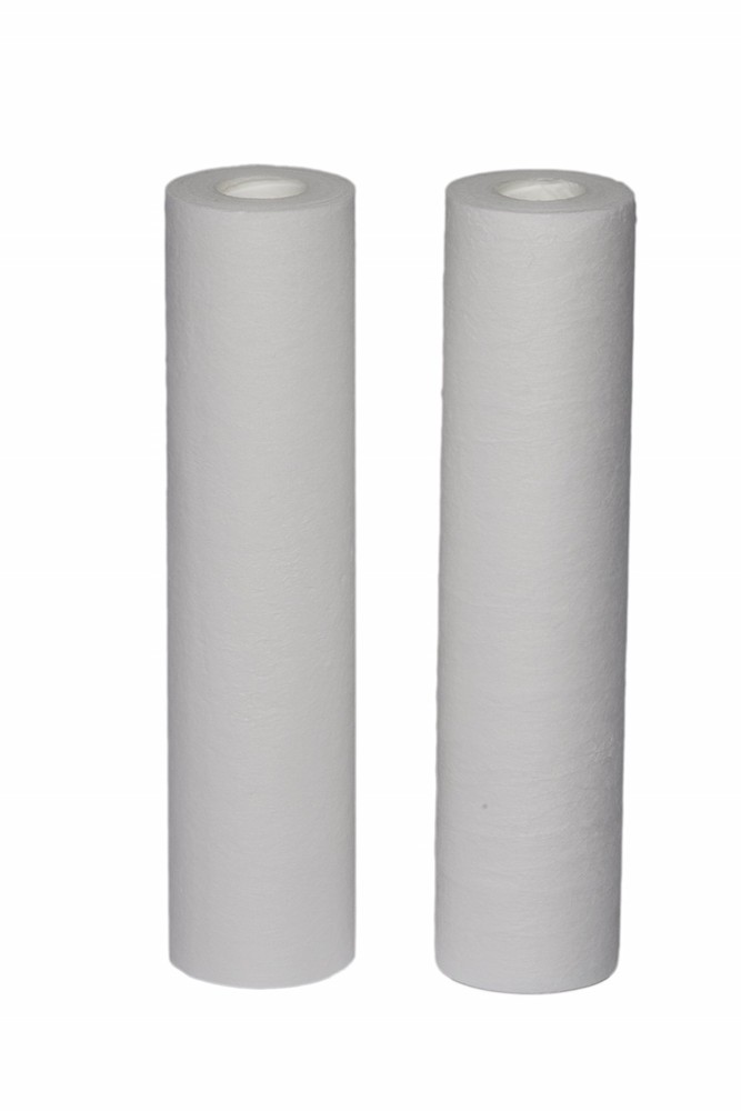 EPW2B Whole House Replacement Filter, 2 Count (Pack of 1), White