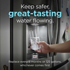 Water and Ice Refrigerator Filter with Built In Replacement Tracking Technology