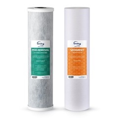 iSpring F2WGB22BPF: 99% PFAS & Chlorine Removal Set for WGB22B-PF