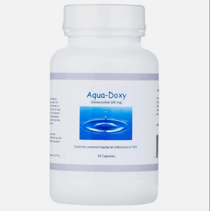 Aqua Fish Aquarium & Tank Water Treatment 100mg Caps x 20 Count