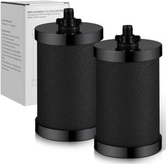 2 Pack Water Filter Replacement 2387 Pro NSF Certified 5000 Gallon Black