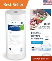 Pentair DGD-5005 Big Blue Water Filter, 10-Inch Whole House Sediment Filter C…