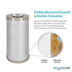 Fortitude V2 Triple Purpose Sediment Carbon Zinc Replacement Filter Standard