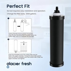 BB9-2 Black Berkey Water Filter Replacement Elements (4-Pack)