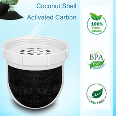 Water Replacement Filter for Pitcher,Compatible with Clearly Filtered Water Filt