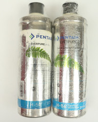 2x Pentair Everpure H-54 Quick-Change Cartridge Water Filter